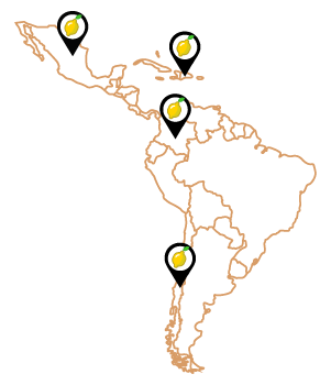 Clientes Lemon Latinoamérica