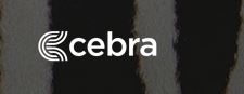 mejores agencias de marketing digital en Chile: Cebra