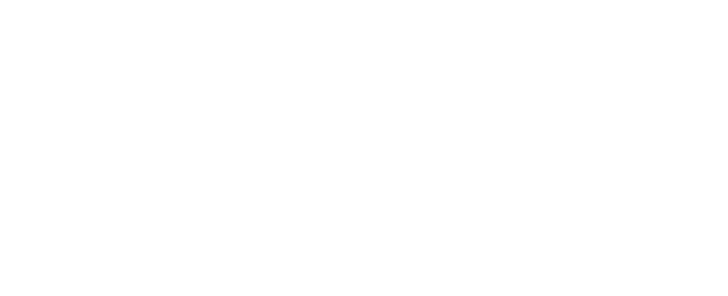 Agencia Lemon Digital Marketing 